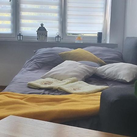 Apartament Park Saski Sandomierz Buitenkant foto