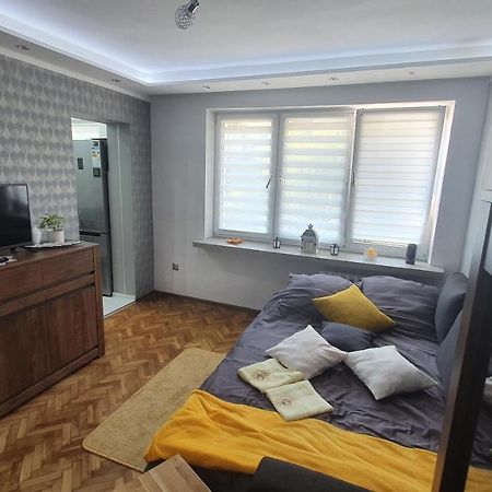 Apartament Park Saski Sandomierz Buitenkant foto
