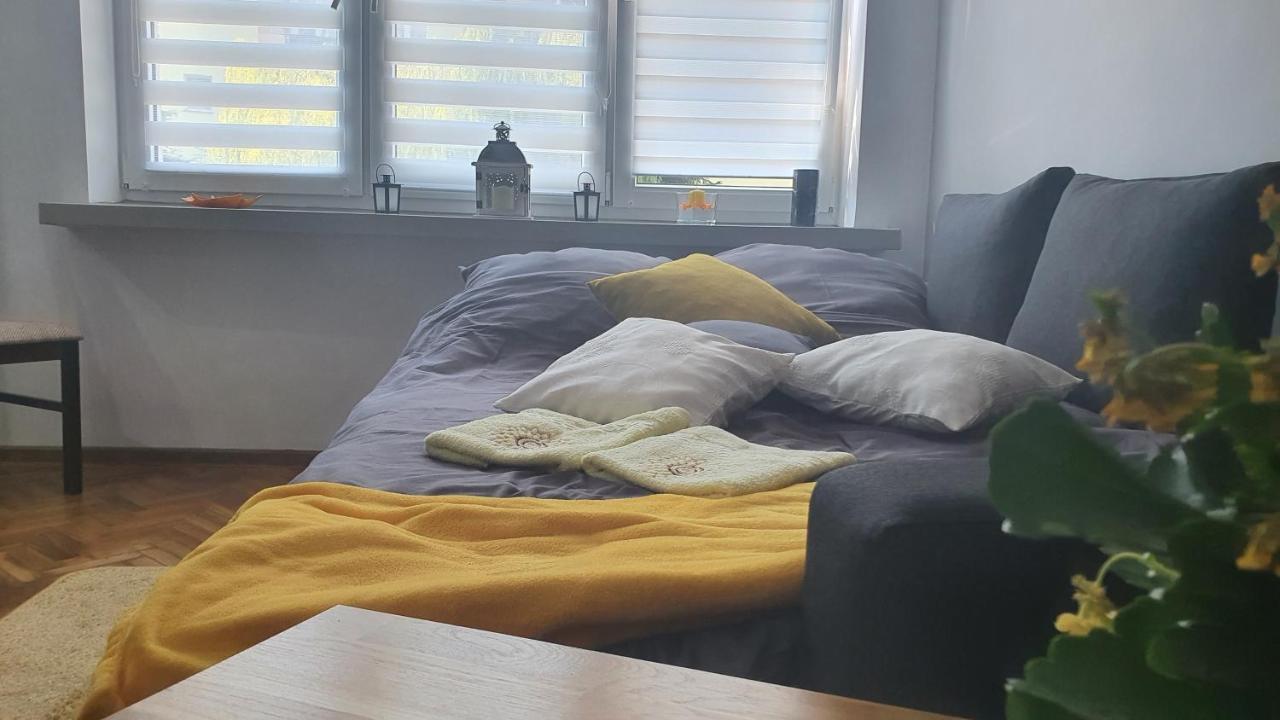 Apartament Park Saski Sandomierz Buitenkant foto