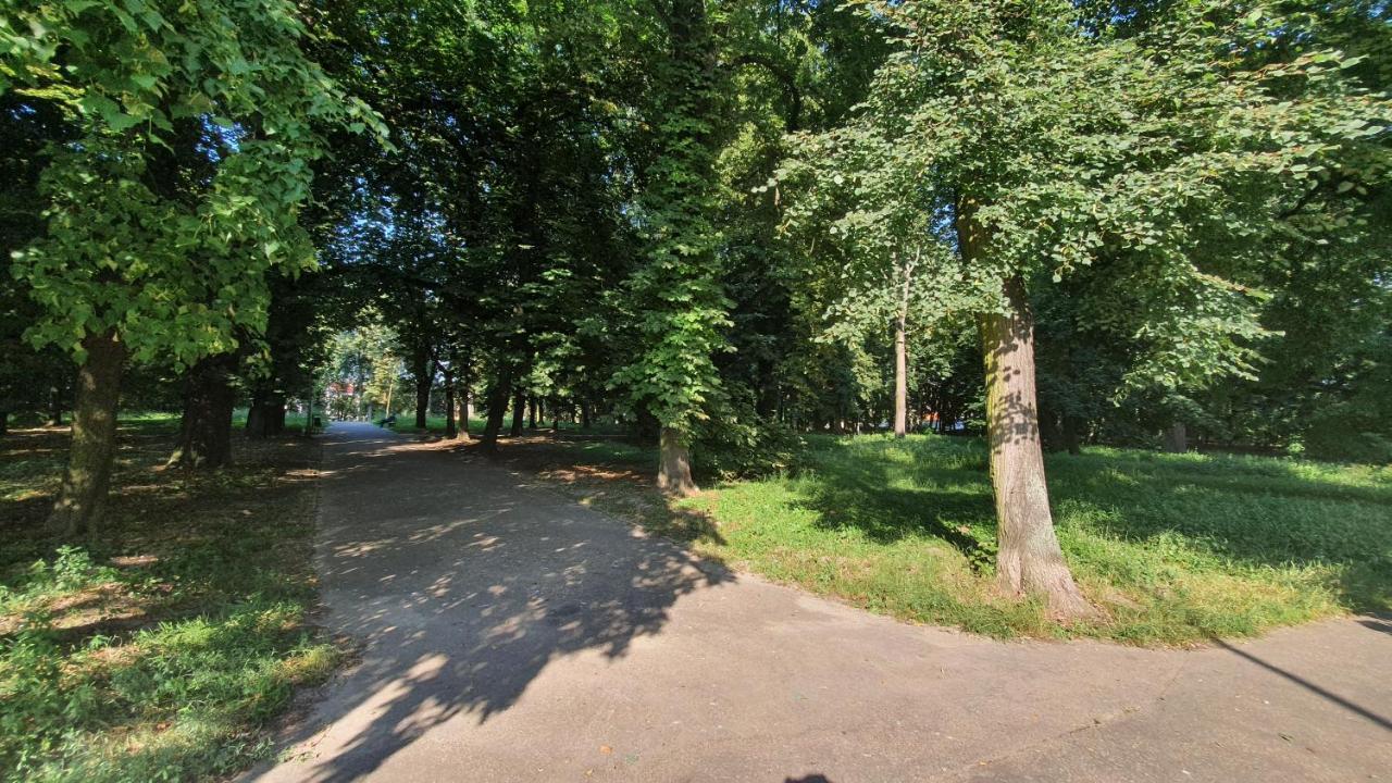 Apartament Park Saski Sandomierz Buitenkant foto