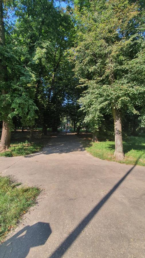 Apartament Park Saski Sandomierz Buitenkant foto